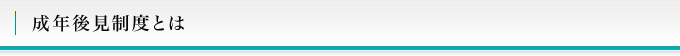 成年後見制度とは
